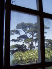 Enlarge photo 126