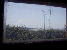 Enlarge photo 136