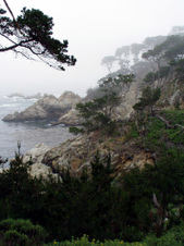 Enlarge photo 425