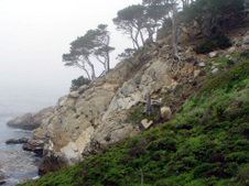 Enlarge photo 427
