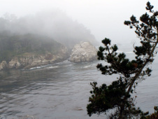 Enlarge photo 429