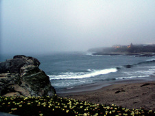 Enlarge photo 430