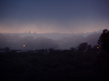 Enlarge photo 431