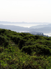 Enlarge photo 172