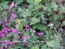 Enlarge photo 201