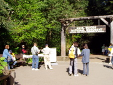 Enlarge photo 173