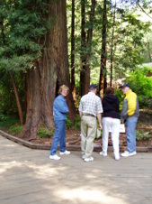 Enlarge photo 203
