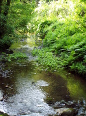 Enlarge photo 206