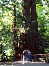 Enlarge photo 208