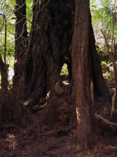 Enlarge photo 213