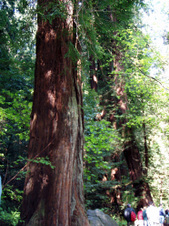 Enlarge photo 214