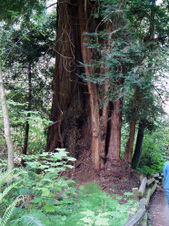 Enlarge photo 215