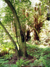 Enlarge photo 217