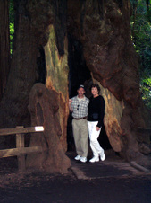 Enlarge photo 218