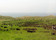 Enlarge photo 440