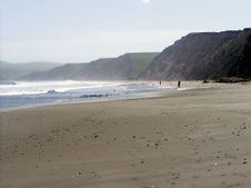 Enlarge photo 444