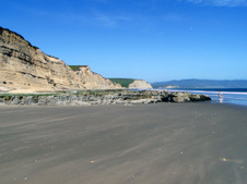 Enlarge photo 445