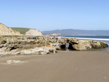 Enlarge photo 446