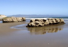 Enlarge photo 448