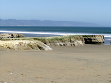 Enlarge photo 451