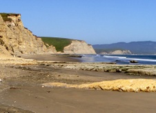 Enlarge photo 452
