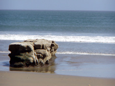 Enlarge photo 453