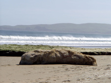 Enlarge photo 454