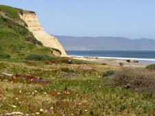 Enlarge photo 464