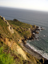 Enlarge photo 474
