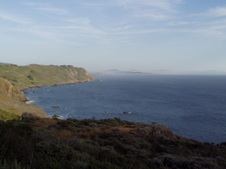 Enlarge photo 477