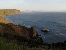 Enlarge photo 478