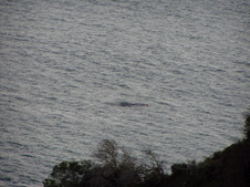 Enlarge photo 489