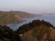 Enlarge photo 493