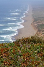 Enlarge photo 498