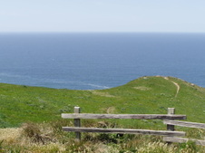 Enlarge photo 499