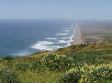 Enlarge photo 501