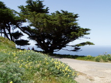 Enlarge photo 502