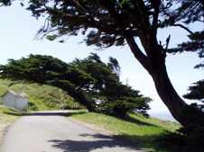 Enlarge photo 503