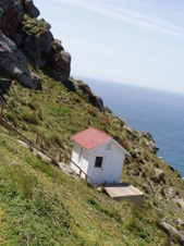 Enlarge photo 508