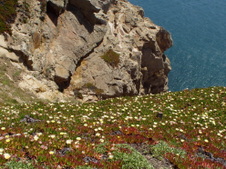Enlarge photo 511