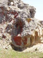 Enlarge photo 512