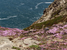 Enlarge photo 513