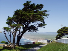 Enlarge photo 523