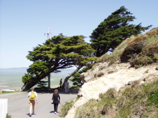 Enlarge photo 524