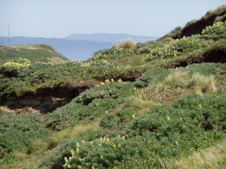 Enlarge photo 531