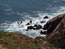 Enlarge photo 534