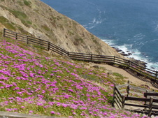 Enlarge photo 535