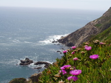 Enlarge photo 539