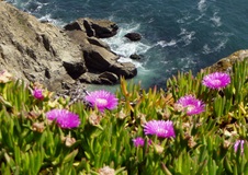 Enlarge photo 541