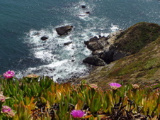 Enlarge photo 543